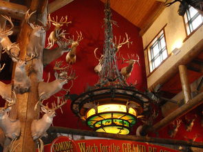 透视《开心跳跳系列大全游戏》：盘点经典关卡，解析欢乐元素带来的无尽乐趣与挑战