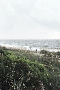 (小森灵攻略50)小森灵旅行攻略：探索自然奇迹，发现内心宁静的旅程指南