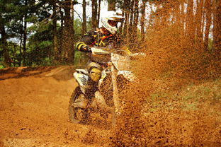 (失落之地乱斗)探秘乱失落之岛：这款游戏究竟是单机体验还是多人在线互动？