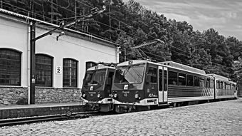 (晨曦列车剧情全解锁)探索晨曦列车游戏官网，感受独特的游戏体验