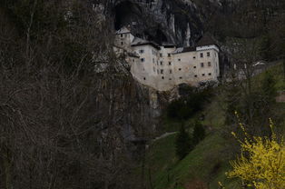 探秘历史文明，体验非凡战斗：有一款游戏叫玛雅，她以独特的方式重新诠释了古老的文化