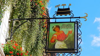 深入体验三国历史的魅力：《三国人生模拟折相思免广告版》带你走进英雄壮志与情感纠葛的世界