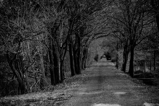 (幻昼解读)探寻幻昼的深层意涵和奥秘:一场超现实的心灵之旅 (幻昼解读)探寻幻昼的深层意涵和奥秘:一场超现实的心灵之旅