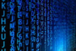 (幽游白书武术会手游值得培养的角色)探索幽游白书武术会手游:重温经典角色与激情战斗的盛宴 (幽游白书武术会手游值得培养的角色)探索幽游白书武术会手游:重温经典角色与激情战斗的盛宴