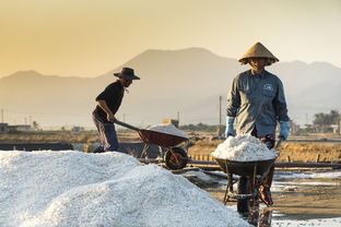 (dnf麦吉的改造风暴怎么获得)麦吉大改造无限金币下载免费获取,实用快捷,游戏精彩 (dnf麦吉的改造风暴怎么获得)麦吉大改造无限金币下载免费获取,实用快捷,游戏精彩