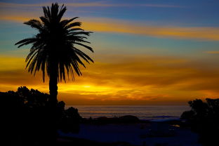 (江湖秘术18个,附破解方法)揭秘江湖攻略-助你成为高手的必备秘籍