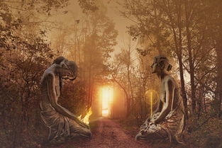 (探寻梦幻仙境手游官网,前往奇幻世界的大门怎么进)探寻梦幻仙境手游官网,前往奇幻世界的大门 (探寻梦幻仙境手游官网,前往奇幻世界的大门怎么进)探寻梦幻仙境手游官网,前往奇幻世界的大门
