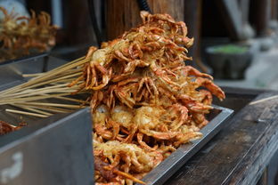 (中餐厅5美食篇综艺)2025年中餐厅第九季：引领美食风潮，再创辉煌