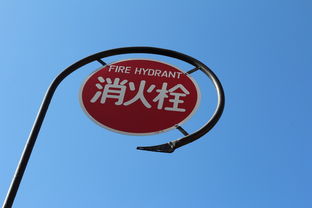 新老澳门正版精准免费大全|专家解析解释落实_游戏版APP.1.782 新老澳门正版精准免费大全|专家解析解释落实_游戏版APP.1.782