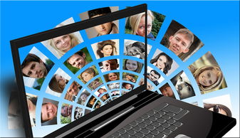 (超进化物语阵容推荐和阵容流派介绍(转))超进化物语最佳阵容推荐：打造强大团队，征服每一个战场