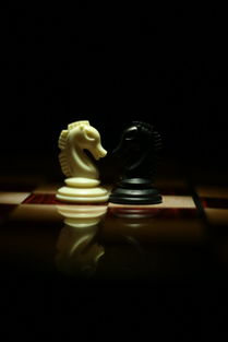 (电脑象棋游戏推荐)探索智慧世界:电脑象棋游戏的策略与技巧大揭秘 (电脑象棋游戏推荐)探索智慧世界:电脑象棋游戏的策略与技巧大揭秘