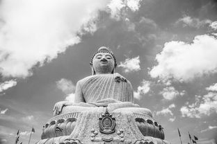 深度解析江湖动荡含义:探讨古代武侠世界里的社会动乱及其对个体命运的影响 深度解析江湖动荡含义:探讨古代武侠世界里的社会动乱及其对个体命运的影响