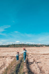 (洪荒文明玩法)洪荒文明可以制作为单机游戏吗？