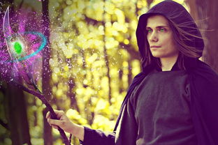 (七雄纷争官方网站)七雄纷争：战略布局与智慧对决，体验古代霸业兴衰