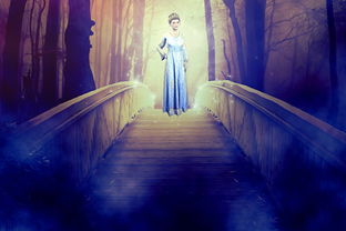 塔防精灵寒冰攻略:如何有效利用冰冻能力来抵御敌人的入侵攻击? 塔防精灵寒冰攻略:如何有效利用冰冻能力来抵御敌人的入侵攻击?