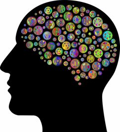 深度解析：幻觉的根源——到底是精神疾病还是心理疾病？从脑神经机理角度探究其实质性质