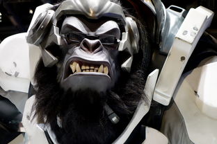 (苍龙逐日1028攻略心得)苍龙逐日1028最强阵容，无敌阵容出击征战天下