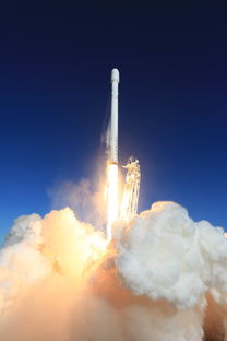 (《逆光者》)逆光者2024年最新消息：备战未来，超越光芒的力量！