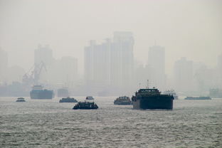 (航海王草帽一伙团聚)超燃冒险团航海王：与草帽海贼团一同探索神秘大海的传奇旅程