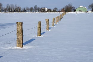 (上海耀雪农业科技有限公司)探寻上海耀雪冰雪世界的魅力之旅主页