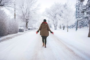 (雪中回眸的作品集打包下载百度云)雪中回眸的小说下载百度云，让你感受冬日温情的美妙故事分享