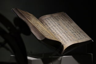 深入解析：平顿是什么意思，探讨其在古代诗词和现代文学中的应用及影响