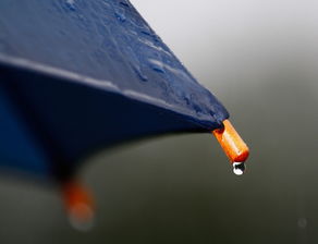 (雨中记忆作文)在雨中回忆：记忆雨带来的那些温暖与感伤的瞬间