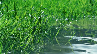 依托科技力量打造农业新格局：浅析《我要来种田4.0.0》对智慧农业建设的颠覆性影响与贡献