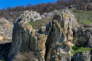 探秘神秘土想森林:古老传说背后隐藏的秘密与奇幻生物们 探秘神秘土想森林:古老传说背后隐藏的秘密与奇幻生物们