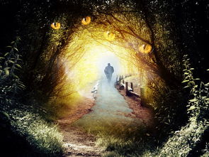 蚂蚁森林古树保护2024年没了:盘点人类破坏力量对自然的冲击和影响 蚂蚁森林古树保护2024年没了:盘点人类破坏力量对自然的冲击和影响