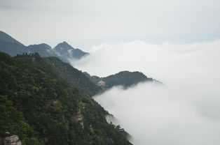 走进秀美壮丽的人间仙境：中国十大有山有水适合养老的美丽小镇考察与探访