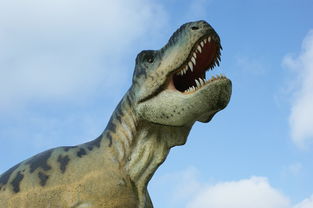 (揭秘中国最后一只恐龙:科学家们的考古探寻是什么)揭秘中国最后一只恐龙：科学家们的考古探寻