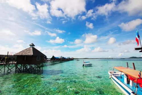 奥哈纳岛2024最新版本下载-奥哈纳岛下载手机版v.8.39 奥哈纳岛2024最新版本下载-奥哈纳岛下载手机版v.8.39