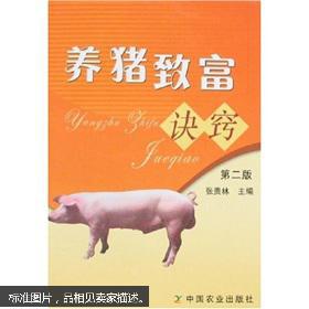养猪致富新农村免广告国际版下载新版安装包-养猪致富新农村免广告下载中文版v.0.99 养猪致富新农村免广告国际版下载新版安装包-养猪致富新农村免广告下载中文版v.0.99