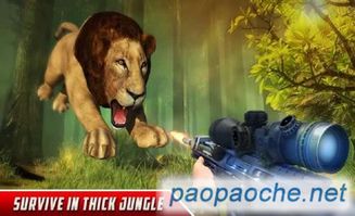 老鼠狩猎3D最新版下载安装-老鼠狩猎3D自制版下载v.6.69 老鼠狩猎3D最新版下载安装-老鼠狩猎3D自制版下载v.6.69