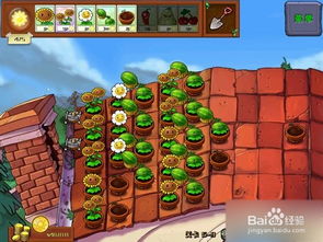 植物大战僵尸冒险时空免费版最新官方版下载-植物大战僵尸冒险时空免费版2024最新版本下载v.5.84 植物大战僵尸冒险时空免费版最新官方版下载-植物大战僵尸冒险时空免费版2024最新版本下载v.5.84