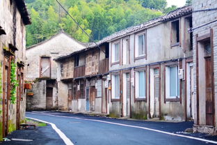 彼岸画廊下载安装-彼岸画廊城镇叠叠乐下载v.4.26