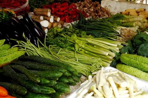 卖菜致富记免广告中文最新版下载-卖菜致富记修改器下载v.2.57