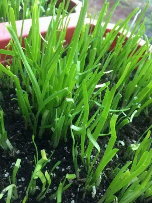 黑色走廊2最新版下载安卓-黑色走廊2下载手游v.7.55 黑色走廊2最新版下载安卓-黑色走廊2下载手游v.7.55