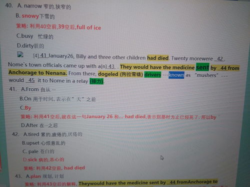 樱校英文版1.043.00版本全解锁最新版2024下载-樱校英文版1.043.00版本2024最新版本下载v.9.81