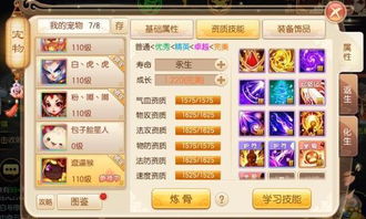 寻找适合长期投入时间的网游，打造专属游戏世界