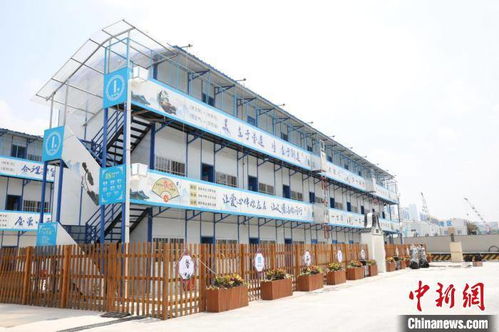 揭秘战鼓之翼：这个项目到底骗了多少人？