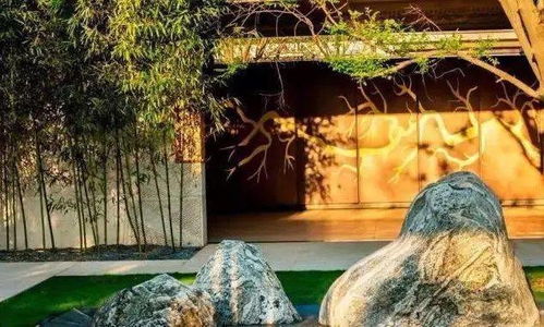 探寻回音花传说:神秘花千年传世,倾诉山谷久远心事,婉转细语回荡久远传说 探寻回音花传说:神秘花千年传世,倾诉山谷久远心事,婉转细语回荡久远传说