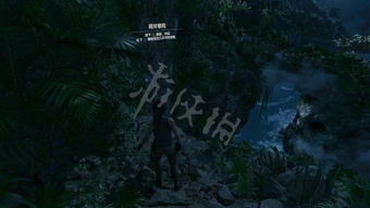 详细解析:如何破解游戏挑战-古墓丽影暗影图文攻略全攻略指南 详细解析:如何破解游戏挑战-古墓丽影暗影图文攻略全攻略指南