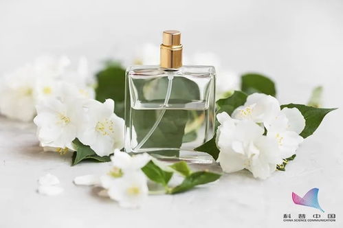 航海物语香水味道怎么样? 一起探讨这款香水的香气如何吸引人 航海物语香水味道怎么样? 一起探讨这款香水的香气如何吸引人