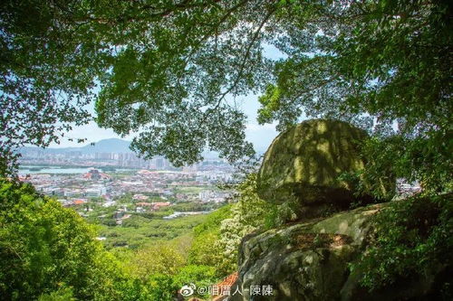 游清源山记:登高望远,感受万物生机勃发的美妙律动 游清源山记:登高望远,感受万物生机勃发的美妙律动