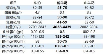 深度比较:哪款企业财务软件最好用,实用性与价值的评测分析 深度比较:哪款企业财务软件最好用,实用性与价值的评测分析