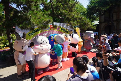 星天乐园超人熊主题乐园的创新设计与操作模式分析,给游客带来独特游乐体验 星天乐园超人熊主题乐园的创新设计与操作模式分析,给游客带来独特游乐体验