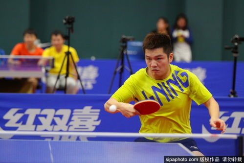 新澳一肖一马一恃一中下一期预测与新奥一肖一特预测分析l和杜绝虚假的假营销幻-启发释义、专家解读解释与落实 新澳一肖一马一恃一中下一期预测与新奥一肖一特预测分析l和杜绝虚假的假营销幻-启发释义、专家解读解释与落实