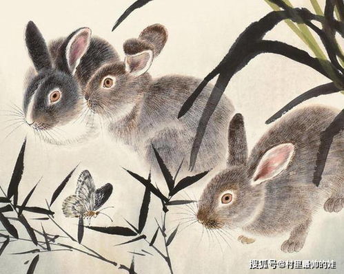 77777888888精准新版和澳门生肖彩谜语:蛇、兔、牛、狗典型释义、专家解读解释与落实,留心欺骗承诺危害 77777888888精准新版和澳门生肖彩谜语:蛇、兔、牛、狗典型释义、专家解读解释与落实,留心欺骗承诺危害